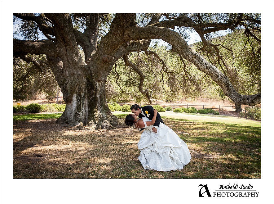 Bates Nut Farm Wedding Photo