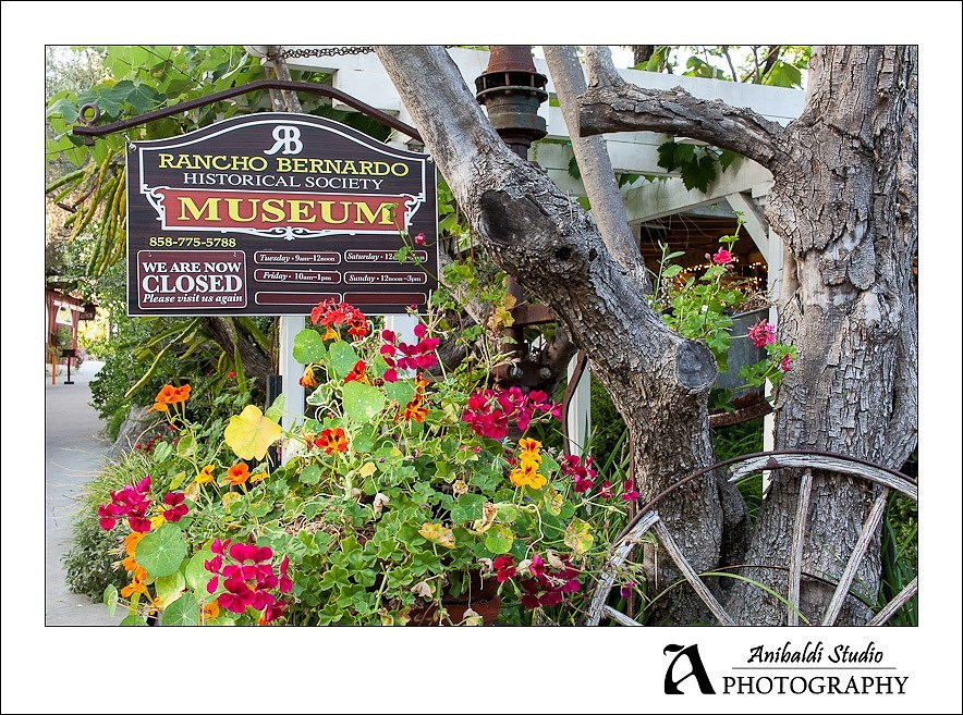 050-Bernardo_Winery_Wedding_Photography