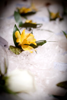 Chandra+Ian_Wed-012