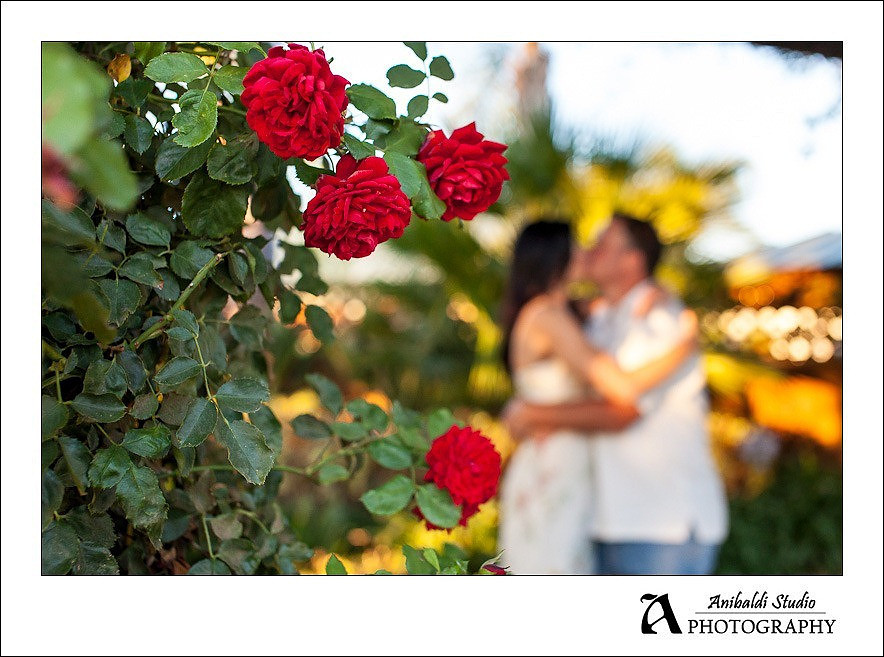 014-Temecula-Vineyard-Winery Engagement Pictures