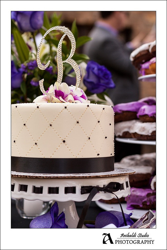 062-Lake Oak Meadows Wedding Photographer
