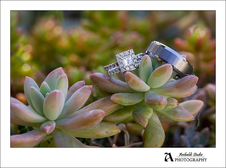 005-green gables wedding photography