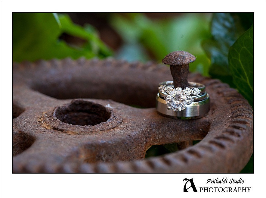 001-Bernardo_Winery_Wedding_Photography