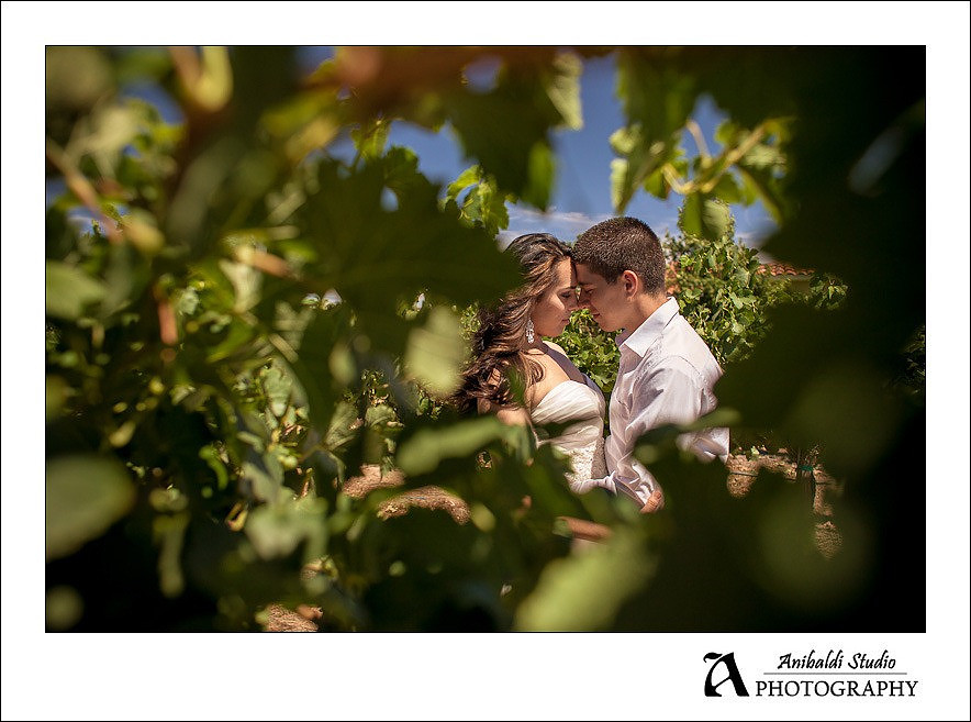 039-South-Coast-Winery-Wedding