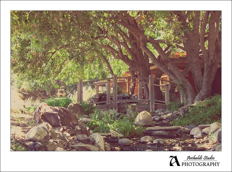 001-Lake Oak Meadows Wedding Photographer
