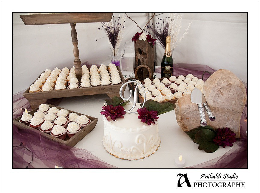 295-Domenigoni_Wedding