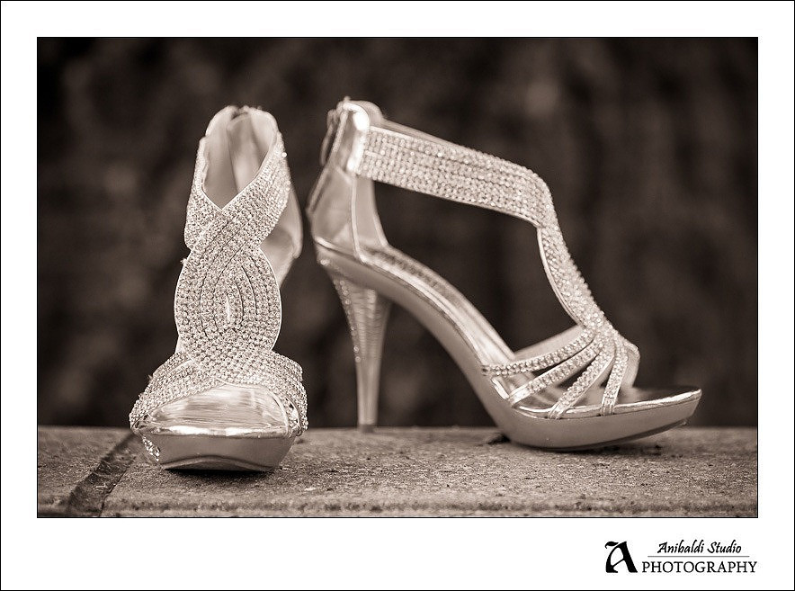 wedding shoes in sepia