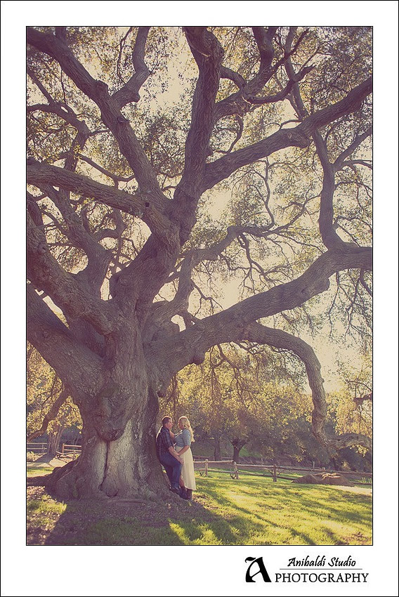 008-engagement photographer valley center
