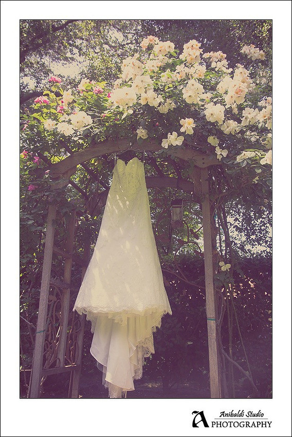 dress hanging in rose garden