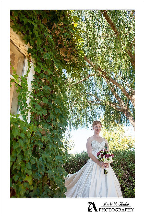 010-Wiens Winery Wedding Photo
