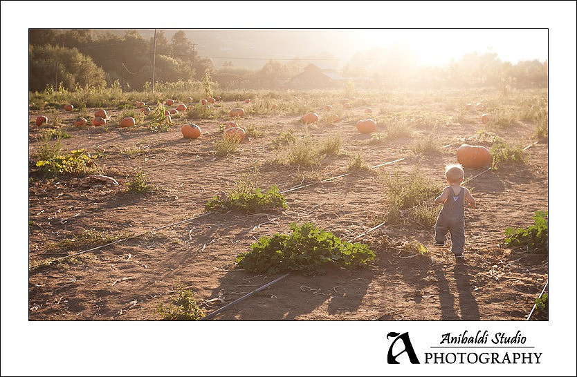 193-pumpkin-patch-2011