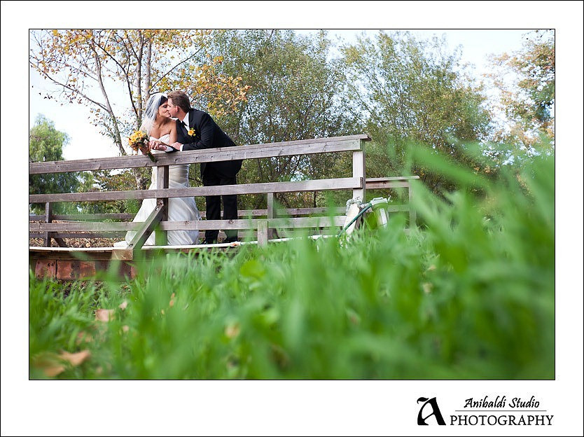 193-Wedding-11-19-11