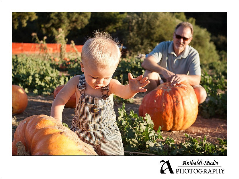 123-pumpkin-patch-2011