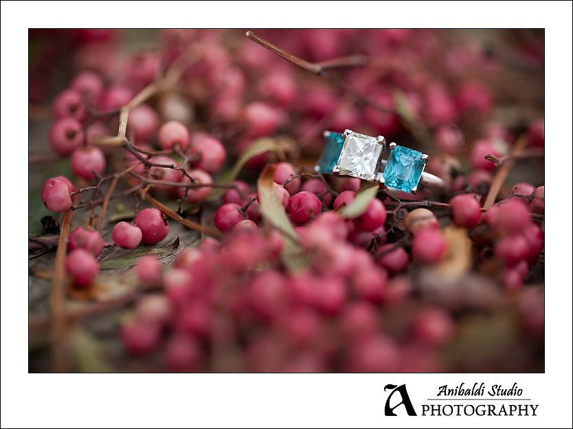 022Engagement_Photograph_Wilson_Creek_Winery