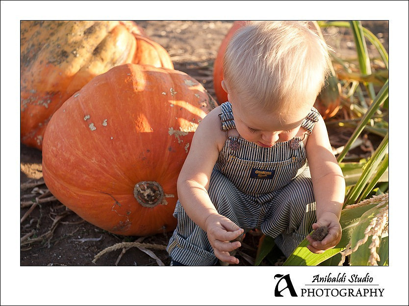 161-pumpkin-patch-2011