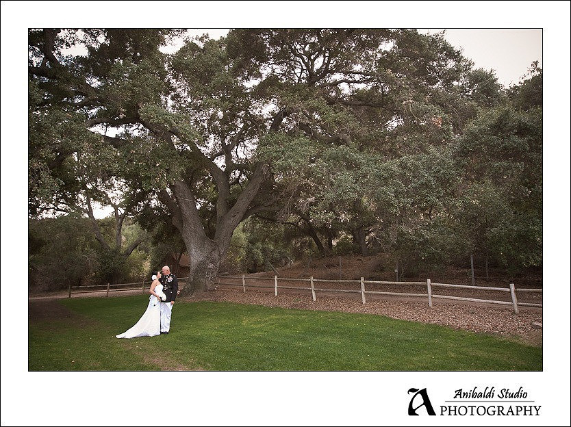Tmeeucla Creek Stonehouse Wedding Photograph-015