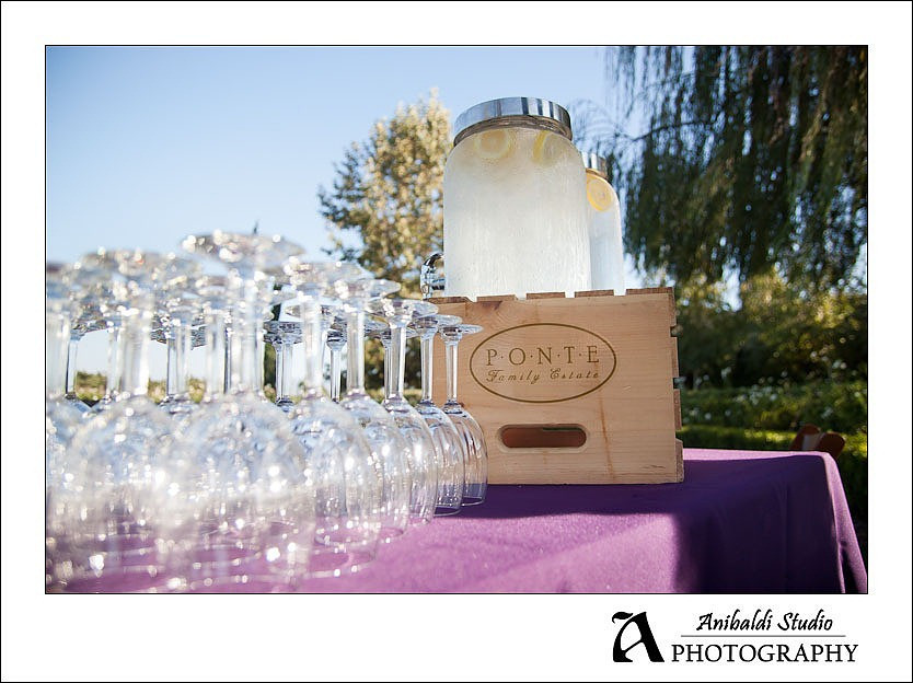 198-Aaron Sarah_Wedding