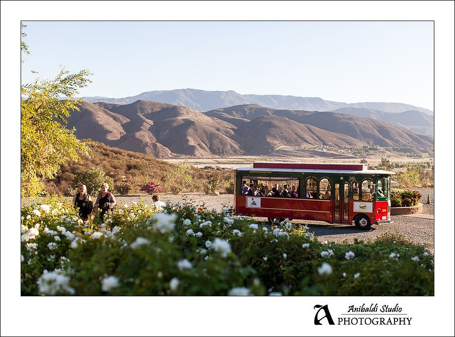032- Gershon Bachus Wedding Photography