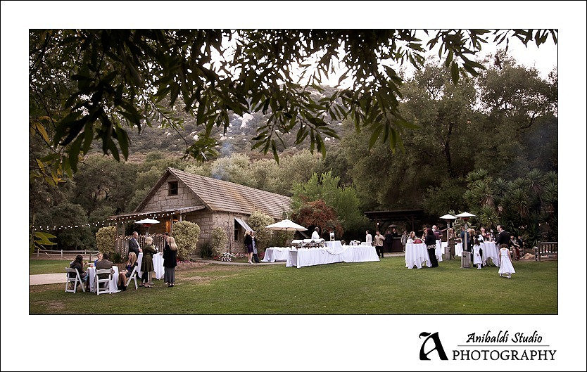 Tmeeucla Creek Stonehouse Wedding Photograph-023