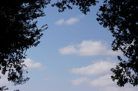 image-6644