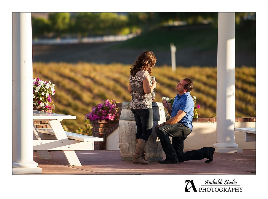 007 - Leonesse wedding proposal engagement photography