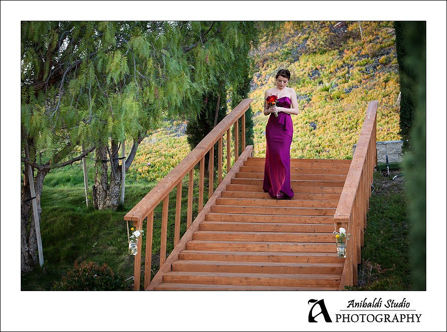 045-Falkner Winery Temecula Wedding Photos