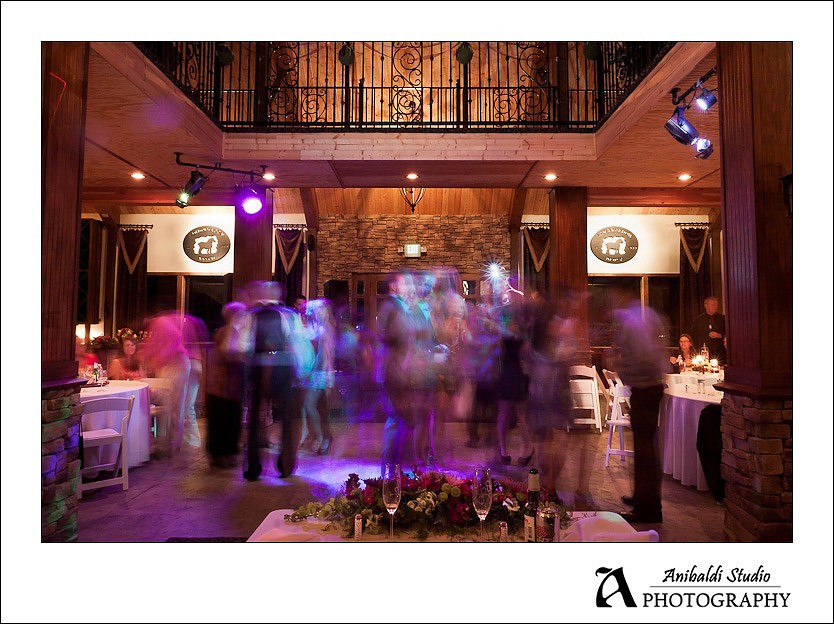 Longshadow Ranch Winery Wedding Photograph-038
