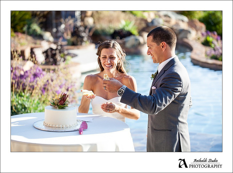 cake cutting