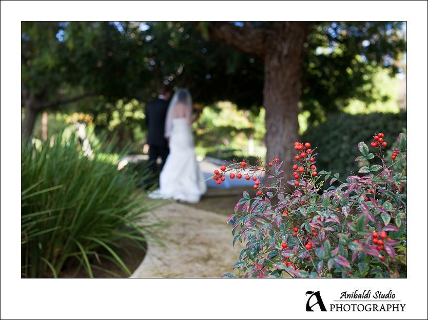 188-Wedding-11-19-11