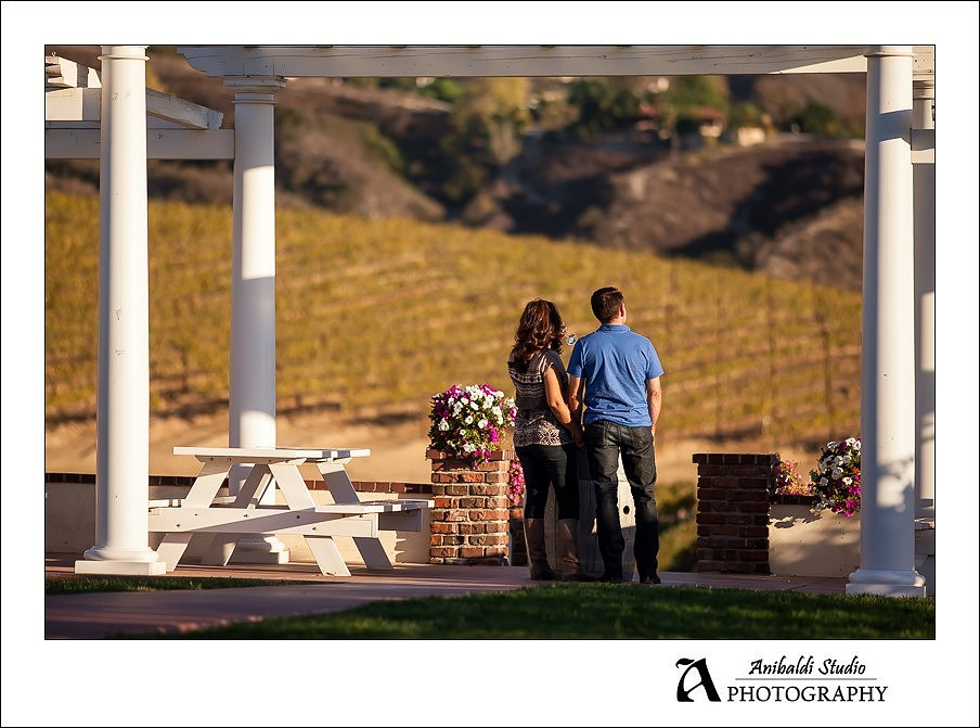 006 - Leonesse wedding proposal engagement photography