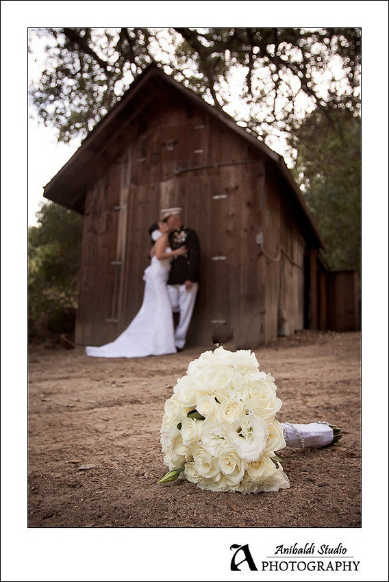 Tmeeucla Creek Stonehouse Wedding Photograph-014