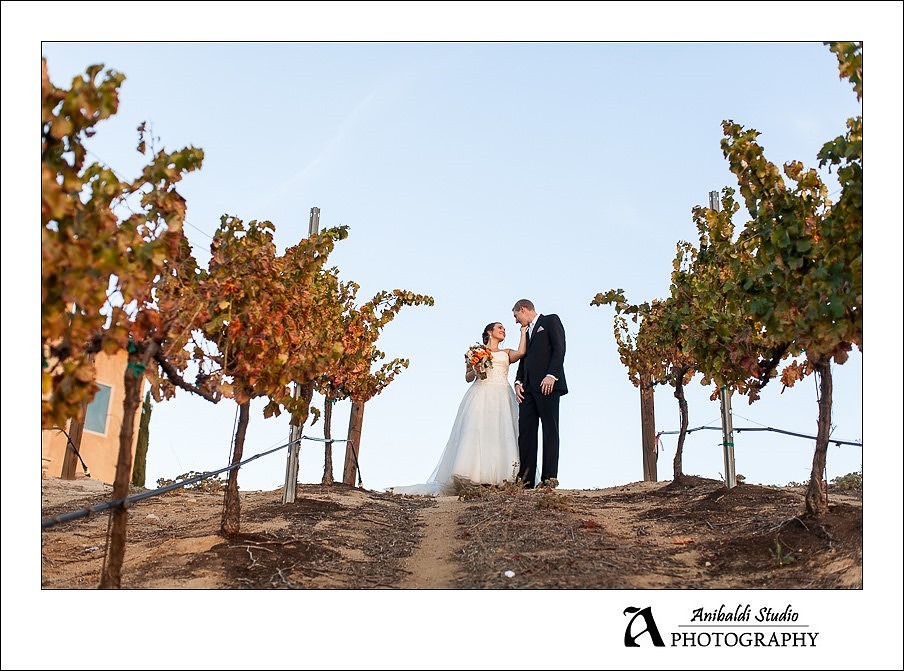 048- Gershon Bachus Wedding Photography