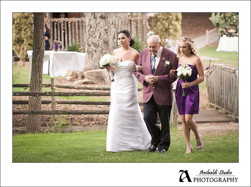 Tmeeucla Creek Stonehouse Wedding Photograph-006