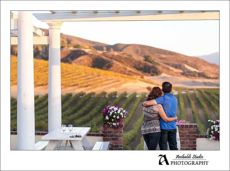 023 - Leonesse wedding proposal engagement photography