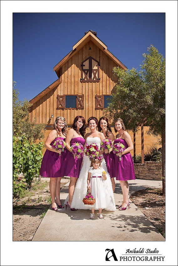 Longshadow Ranch Winery Wedding Photograph-014