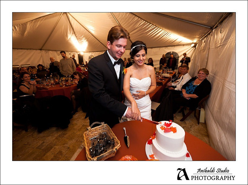 297-Wedding-11-19-11-1