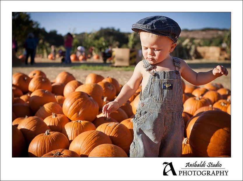 015-pumpkin-patch-2011