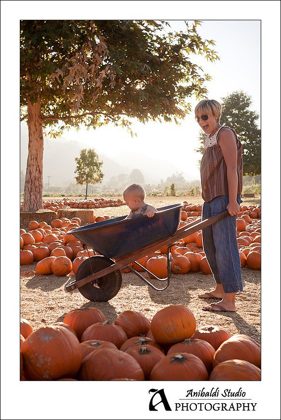 073-pumpkin-patch-2011