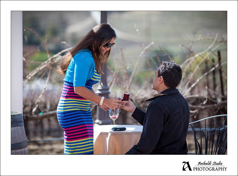 proposal at leoness cellars