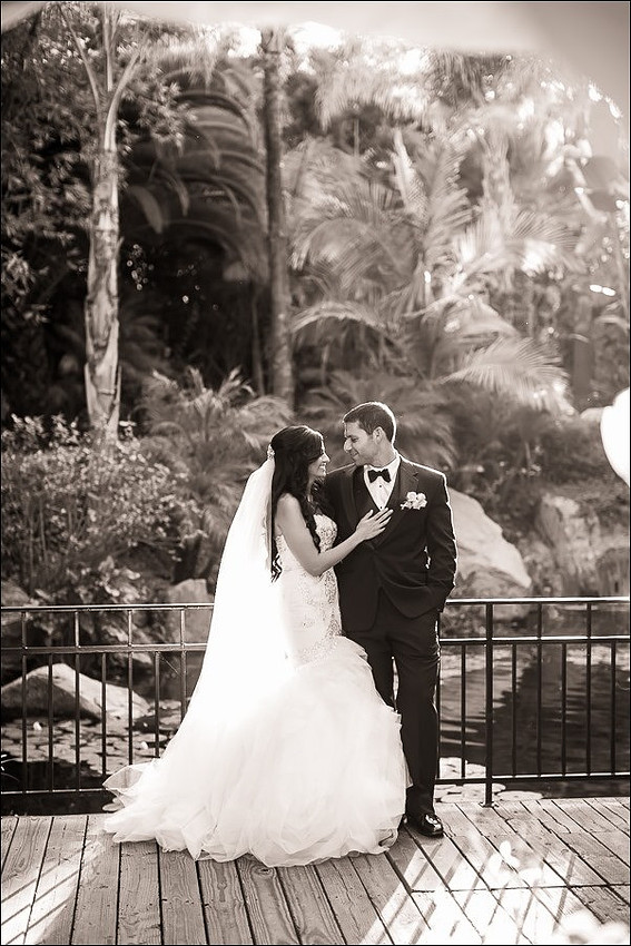 036-Grand Tradition Weding Photography