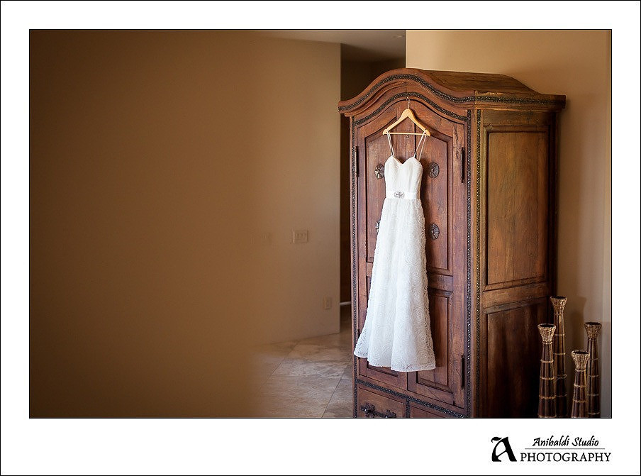 the dress