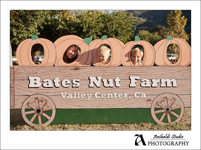 065-pumpkin-patch-2011