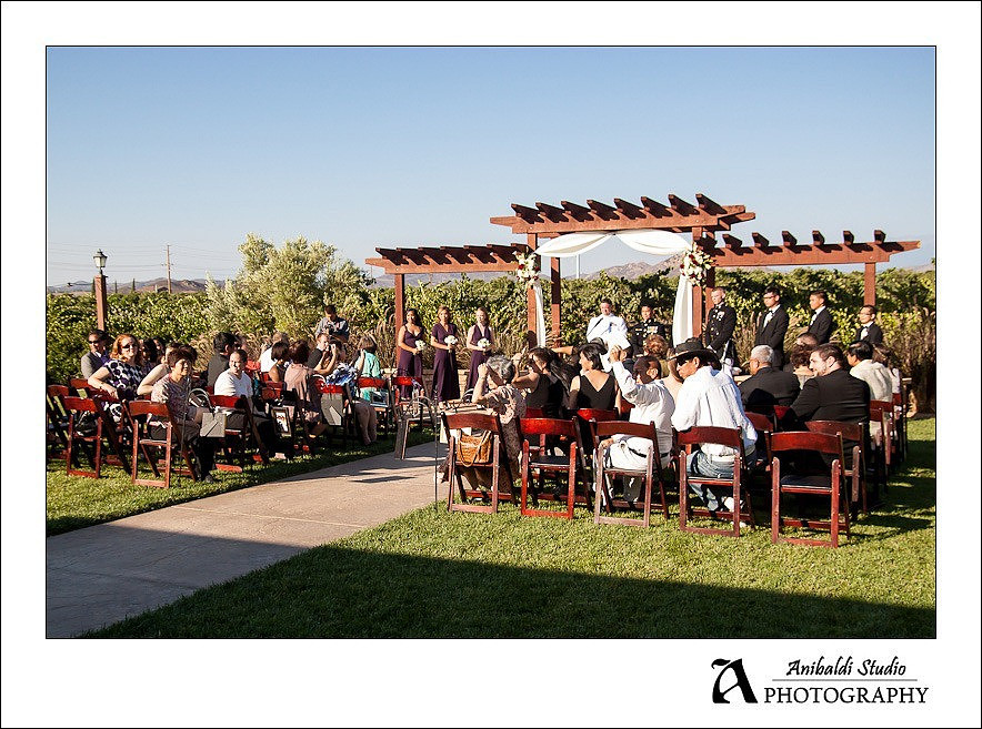 013-Wiens Winery Wedding Photo