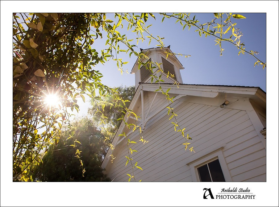 008-green gables wedding photography