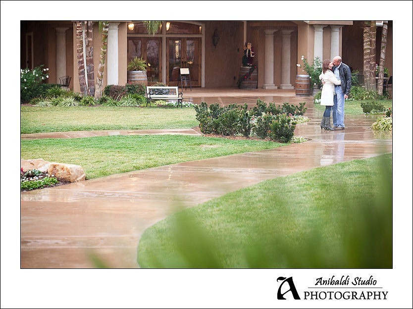 025Engagement_Photograph_Wilson_Creek_Winery