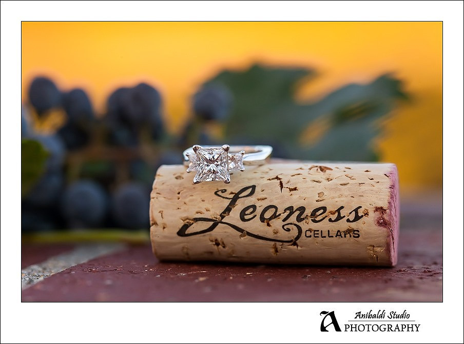 018 - Leonesse wedding proposal engagement photography