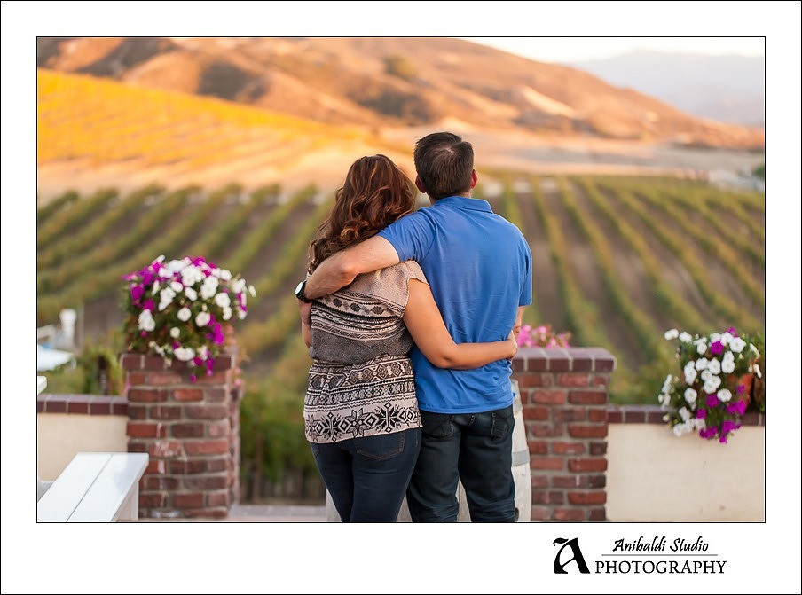 024 - Leonesse wedding proposal engagement photography