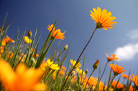 image-6697