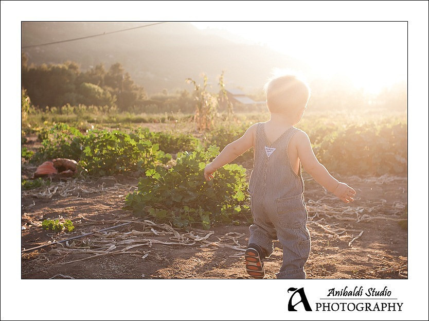 205-pumpkin-patch-2011