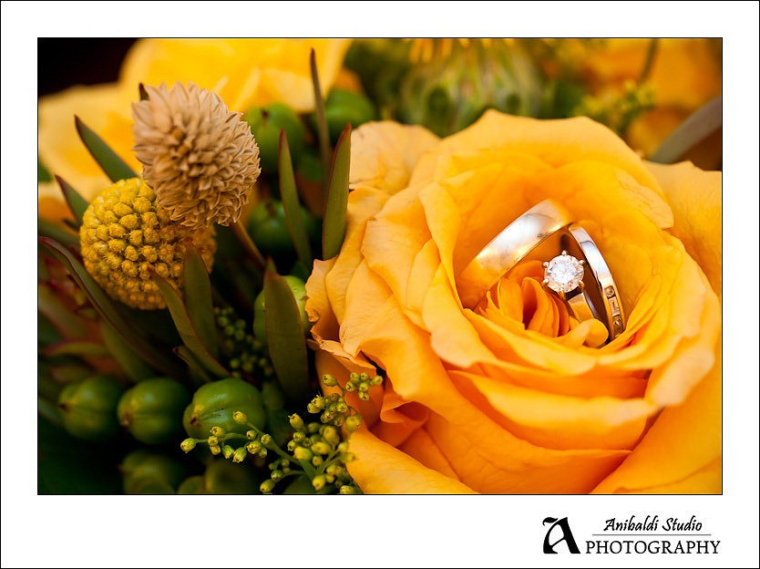 327-Wedding-11-19-11